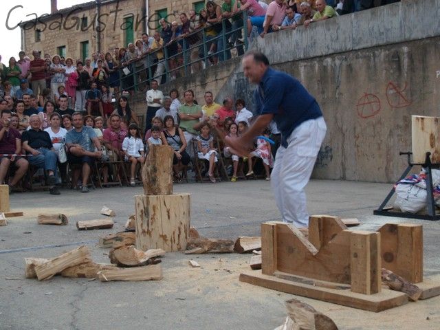 Fotografía de la galería de imágenes con id: 862
